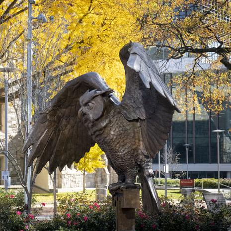 The Temple Owl statue in O'Connor Plaza on a sunny day