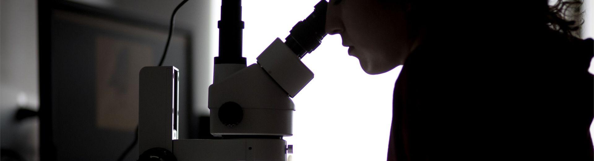 在天普科技学院的一个研究实验室里，生物系的学生正看着显微镜.
