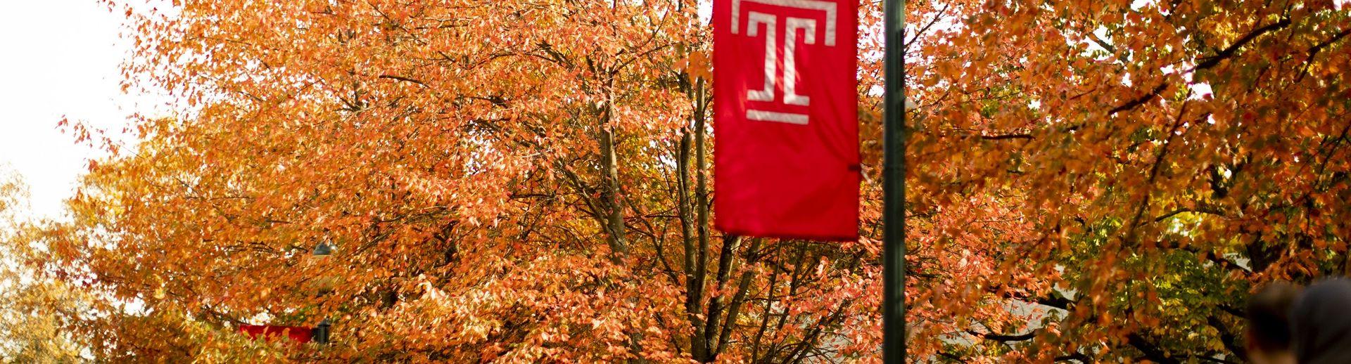 Students walking under a Temple T flag and trees with colorful autumn leaves