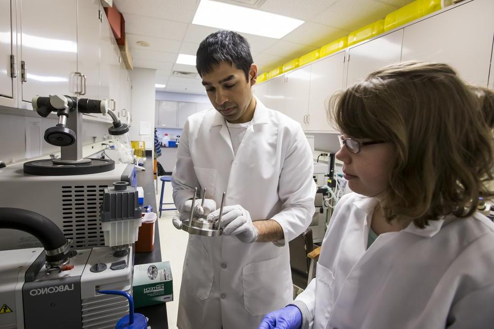 Bioengineering students in a lab